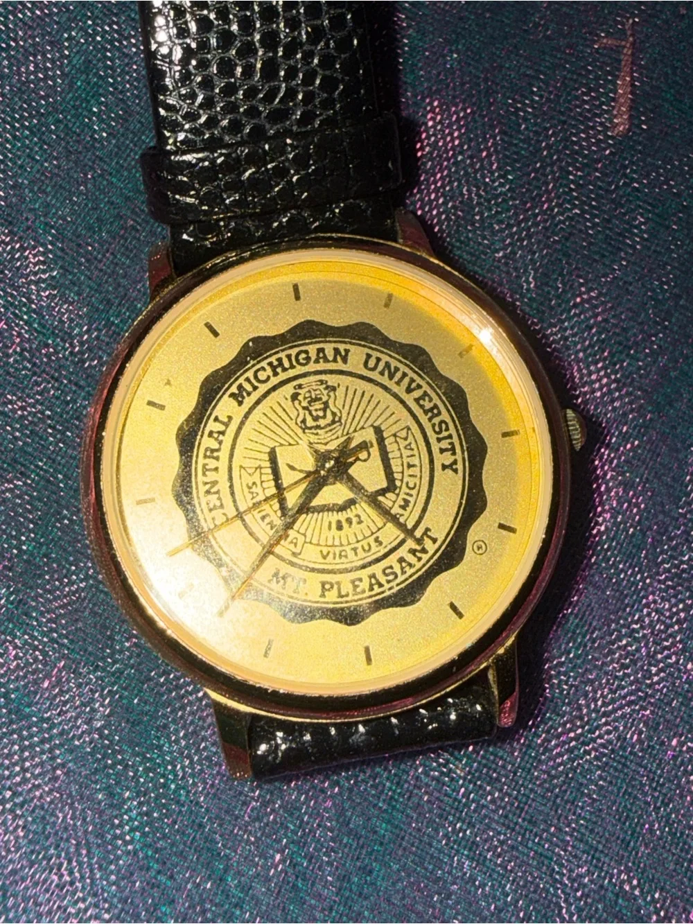 Central Michigan University Alumni Commemorative Women’s Gold Tone Watch New